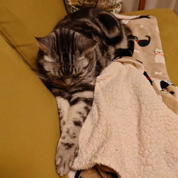 34adc20f bfcc 4c47 b46d f7120e976207 1640694389079