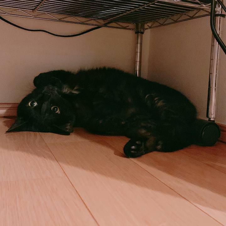 34adcd52 5f1a 46a8 ab46 6850c916873c 1559662949310