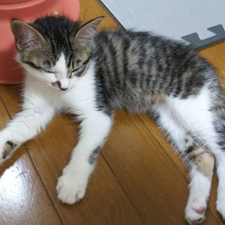 34adcf91 4d7f 4876 92d7 30b1cc0a4bef 1606560206586