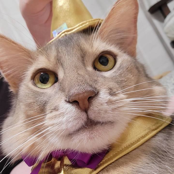 34add36a 52e4 47f7 a462 05bc3914e636 1667222545053