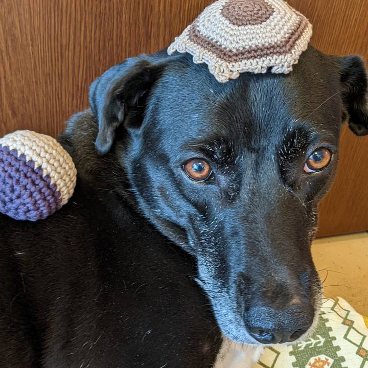 34adddd5 6196 417a aee9 67a3f72296ec 1686654933184