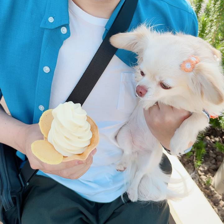 34ae3034 9cef 4252 8273 ea893509b577 1714306918285