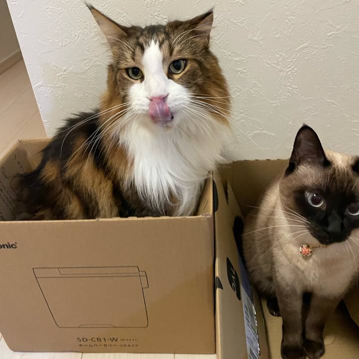 34ae435a 5f91 4133 bf01 0a0af991709e 1764623257741