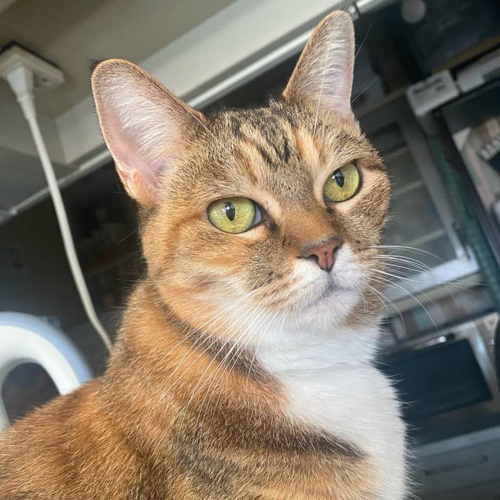 34ae9158 d16c 4f56 ad25 3df620c23b84 1664746030396