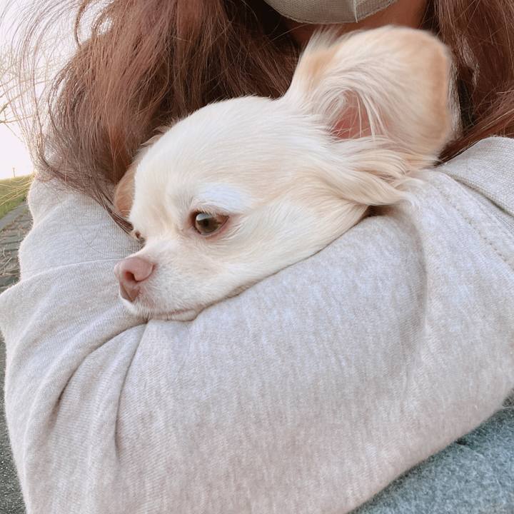 34ae999d 2d2c 4d47 be07 0a11d2951905 1670500422528