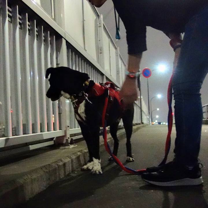 34aea395 a62a 4aac bd86 3069642e32aa 1602670349051