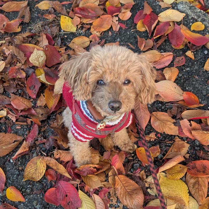 34aed05b 5498 4b5c adc7 46684852d427 1763178541154