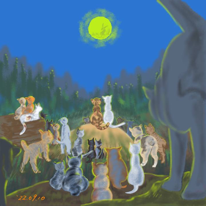 34aedb0f 65d0 4008 8dcc da370c658303 1662762923951