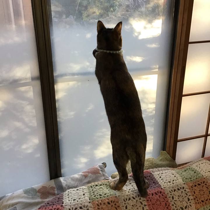 34aeddc5 bf9a 49fc 95b5 36cd93def371 1640992912257