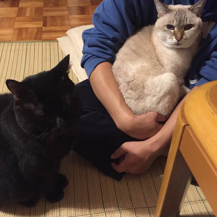 34af22a6 8e12 4e81 a407 6d4a89360e6a 1571831611913