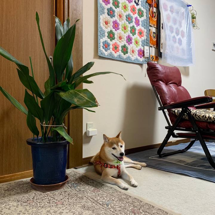 34af4fb3 b04b 4960 9043 e04765e1d6da 1600517110738