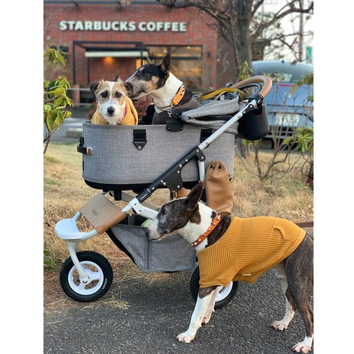 34af59b0 362d 48fb bd3b b0e654b3fb38 1616155938225