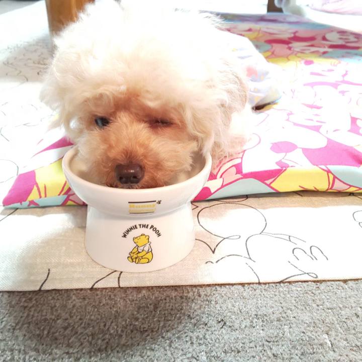 34af6040 dc98 4f90 a11f 0c63de3165da 1567501359471