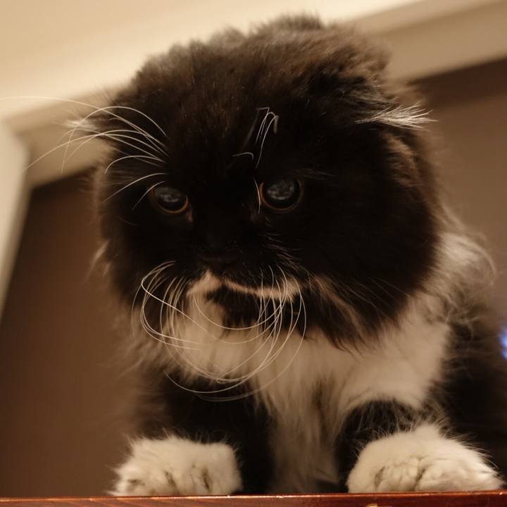 34af94d9 9a3d 46c4 99ba 71871da8e902 1536416896331