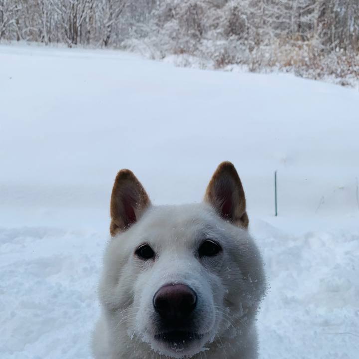 34afaf06 4446 43c9 80f8 ab3bb67b8073 1608010546626