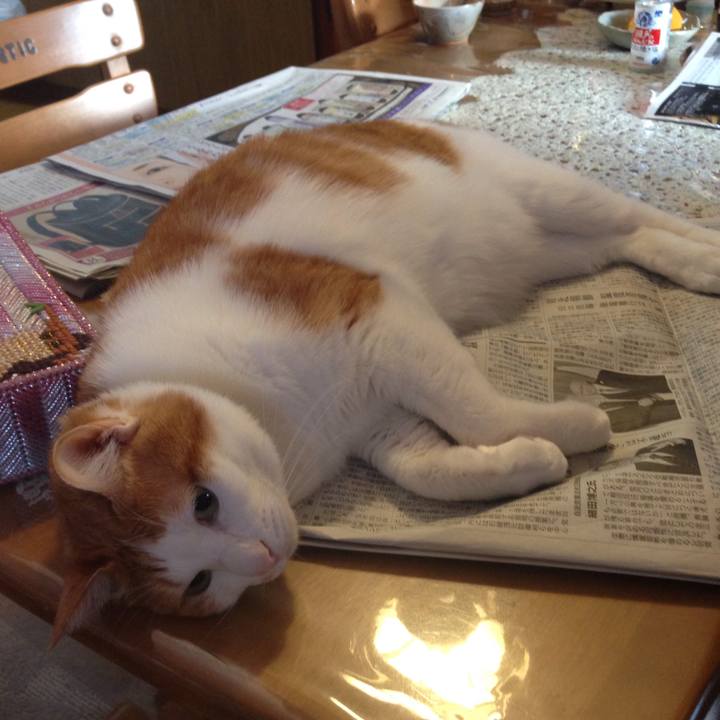 34aff930 8316 4df4 b6f6 8449742dc332 1510354009244