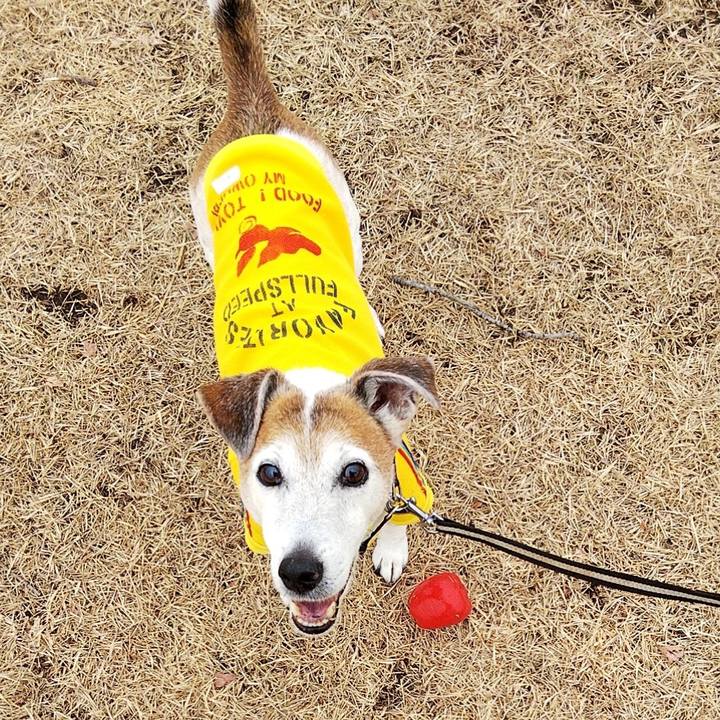 34b02166 fee5 4454 9bea db18ba031d08 1581755452580