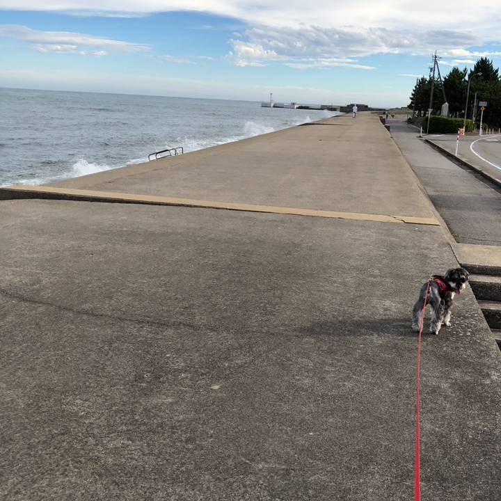 34b025b9 036d 4836 a91b 9fdaa2b5f400 1532818884823