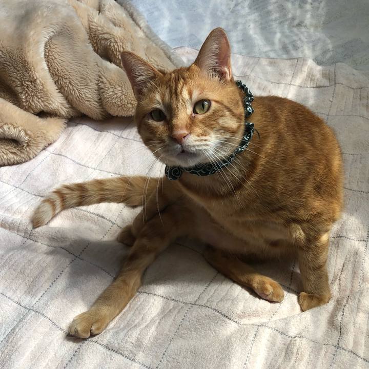 34b05741 5cb1 4ff7 8af5 11cdabfdd1a0 1557005290381