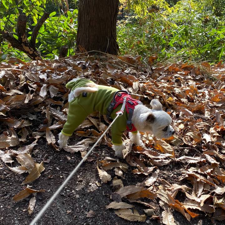 34b06fe1 17a4 4b5e 845b 998a3a67c253 1608443276469