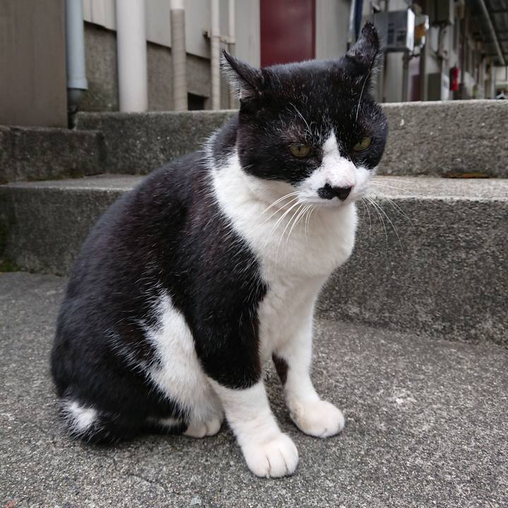 34b070c9 cf54 41bf be1b 25ee67b63663 1665900358259