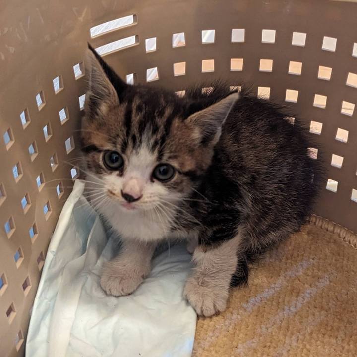 34b09b44 c18f 4145 b7b2 3b4a684d0e50 1717486059912