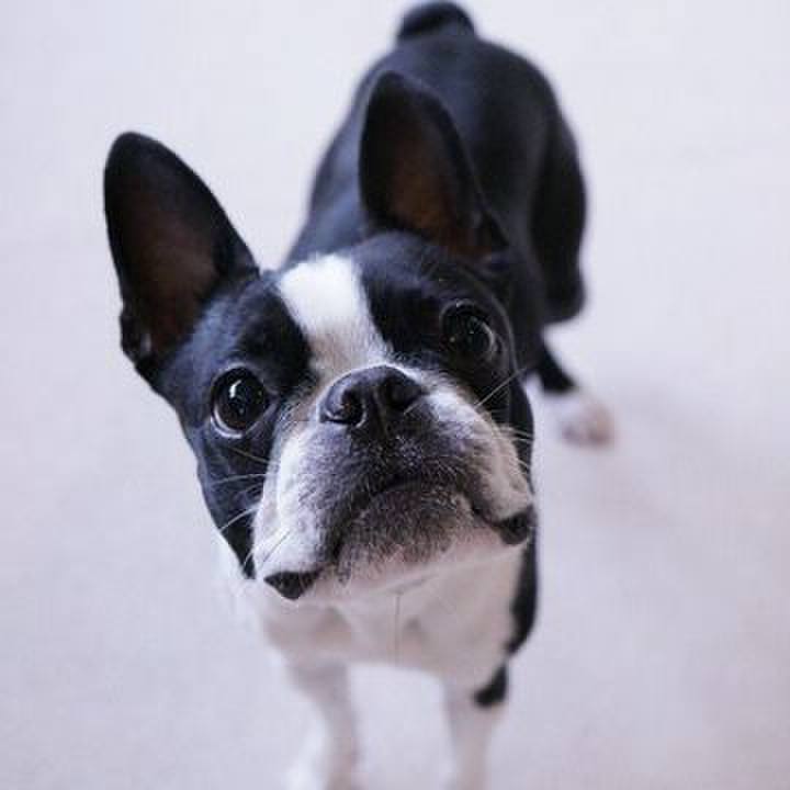 34b0a20b ea20 4cc0 a871 f1b3e2202a4c 1554262788656