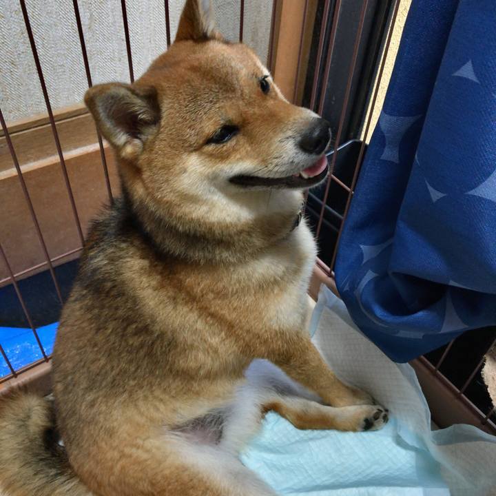 34b0a830 86eb 4dd3 a44c 9adb96d39604 1532771735494