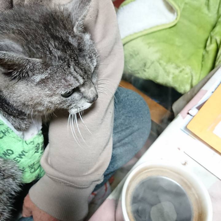 34b0baa4 e5f0 4a5c ba59 9304b7634e95 1587413811166