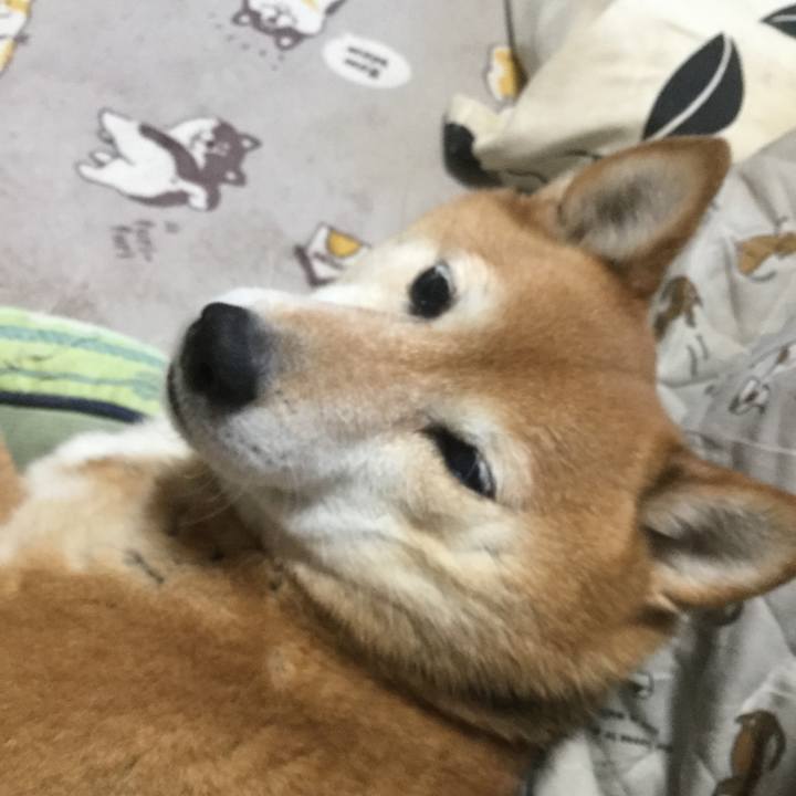 34b0cecb e6f2 4c88 946e e168759ad812 1613693702576