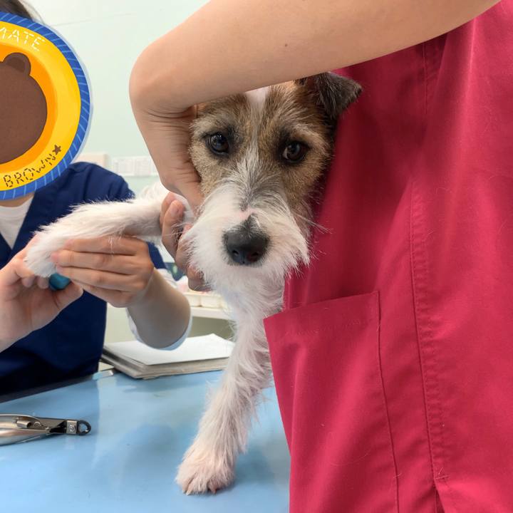 34b0e24a ce61 4aad 89ea f7a4255ccd47 1577525736687