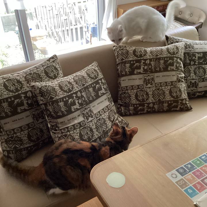 34b16106 dafa 428c b1f8 6097d0ef0ae0 1653970515543