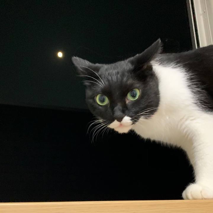 34b184b2 2c47 46f7 8a90 f4f9e9337d7b 1596465345505