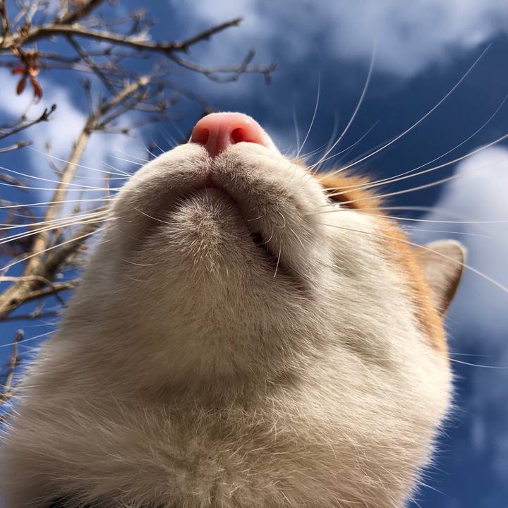 34b1bfd3 263d 4ce7 a6a1 11347834cb2b 1549153413255