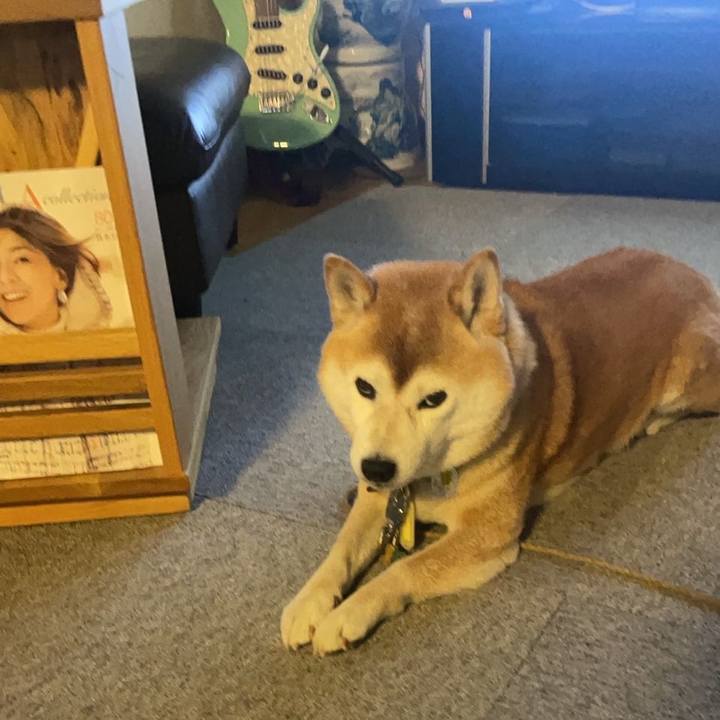 34b1d471 a591 49f9 bfd0 307af1730e23 1668120248086