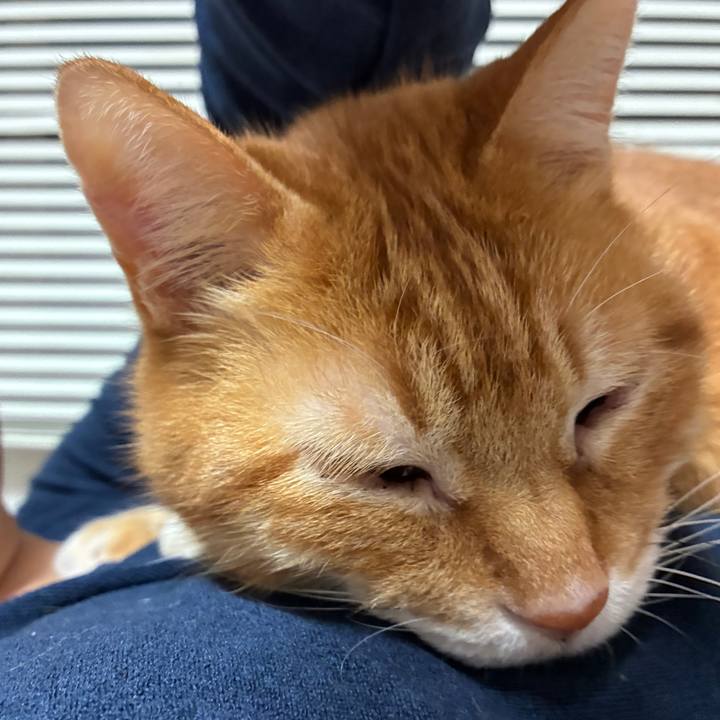 34b224d5 164a 48dd 88a8 ed7d4cf61fde 1775399665927