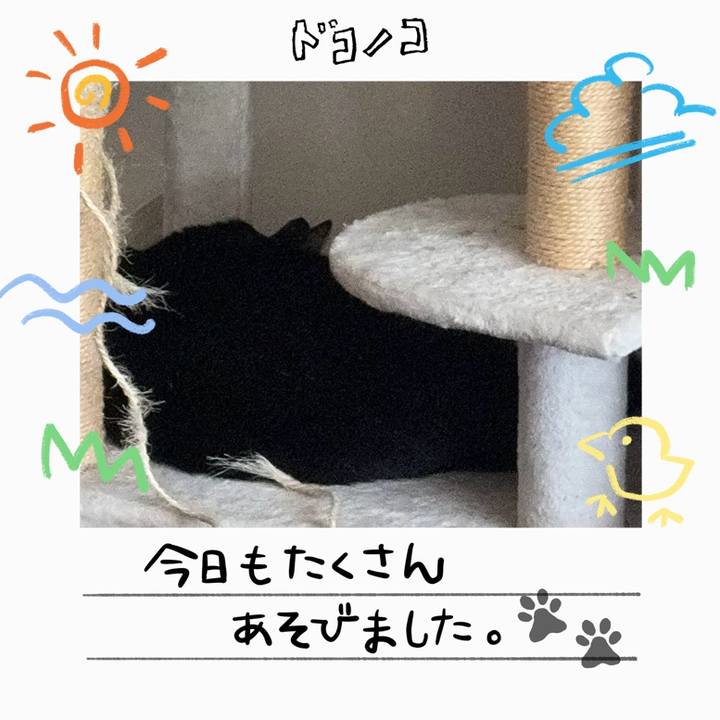 34b2b11f fdf3 430d bed7 55550911813f 1755121881351