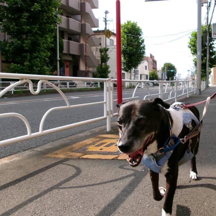 34b2be54 9d44 4330 9e6b 750eb092fdd9 1754181189752