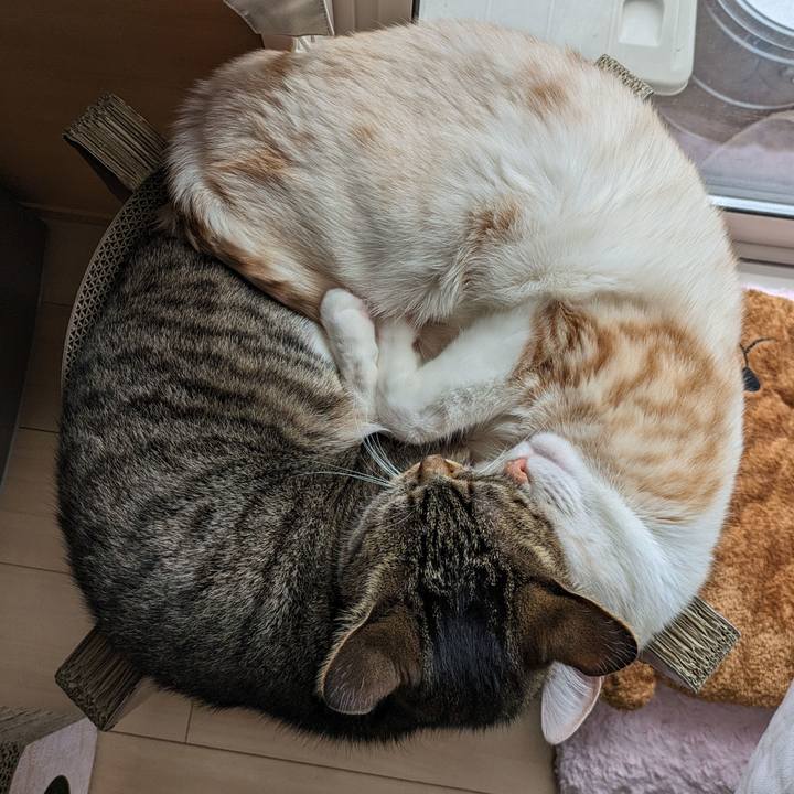 34b2ca91 b38e 47c4 b732 de046159c152 1709024648060