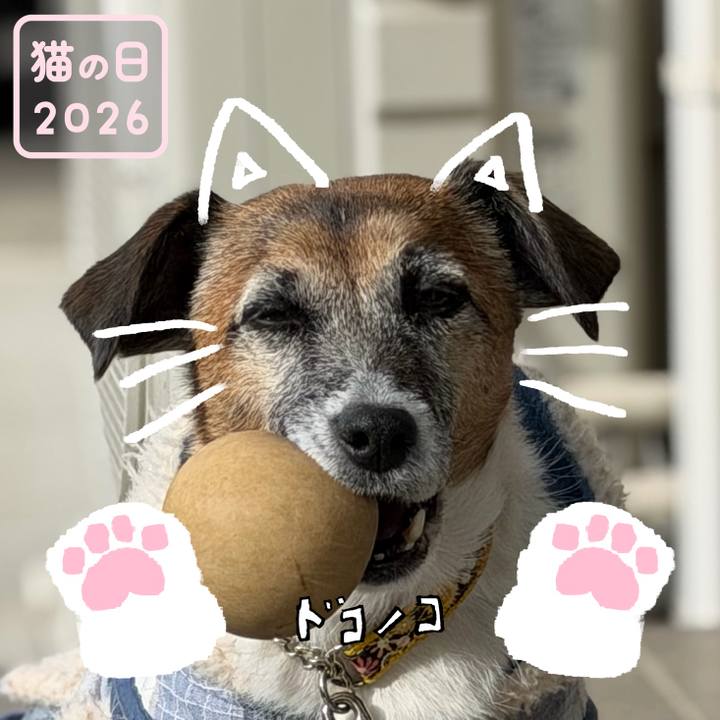 34b2f610 4447 4c17 a537 651e01d75522 1771689330781