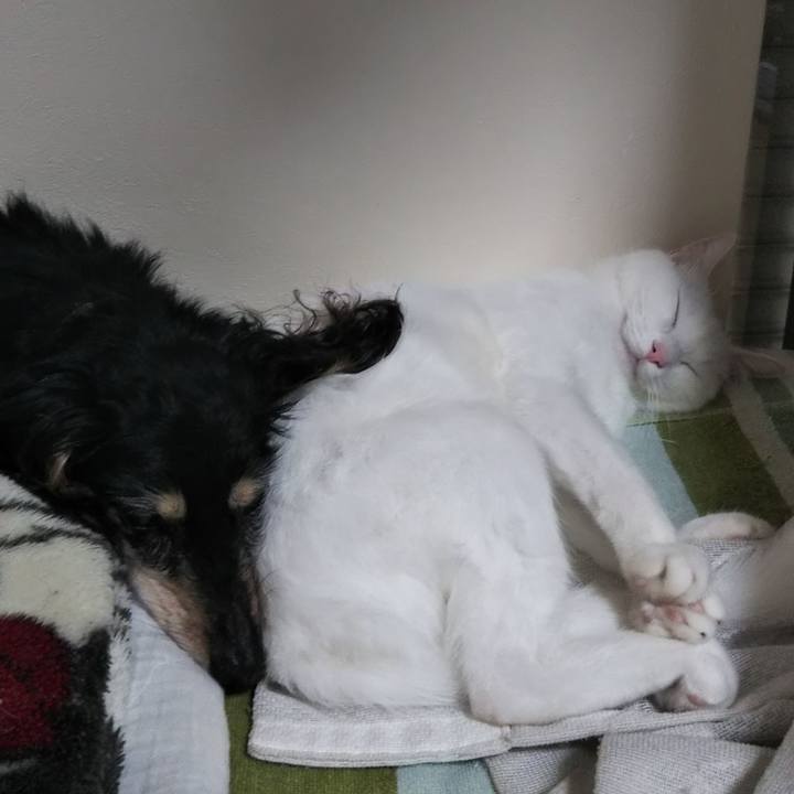 34b2f760 c85a 4428 b2bc 97c45dc36300 1627467220653