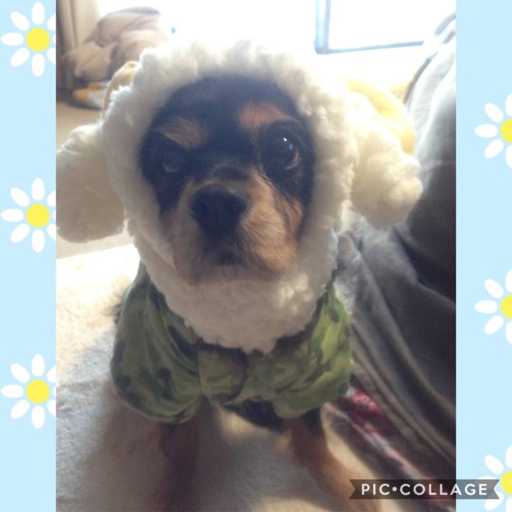 34b323f9 a258 4f91 9cd3 27aad9bc89b4 1585467447315