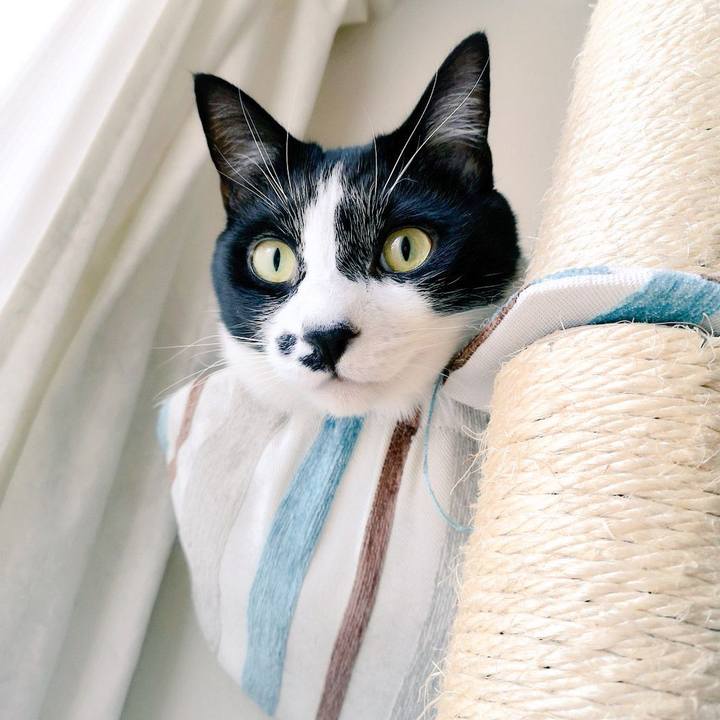 34b35dd8 5418 4bca a10a 67207c826c13 1544754060812