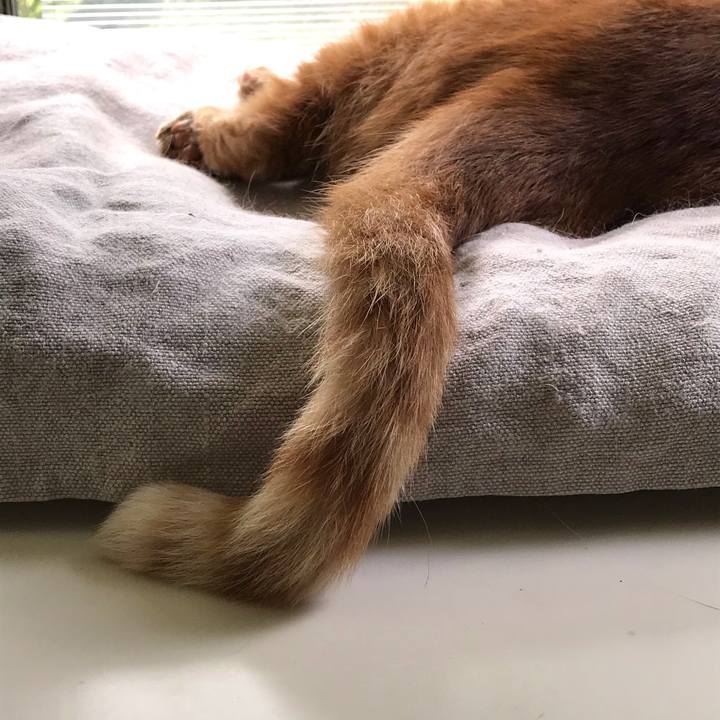 34b36504 489a 4fd2 bca8 f7f63a159b1a 1595208026002