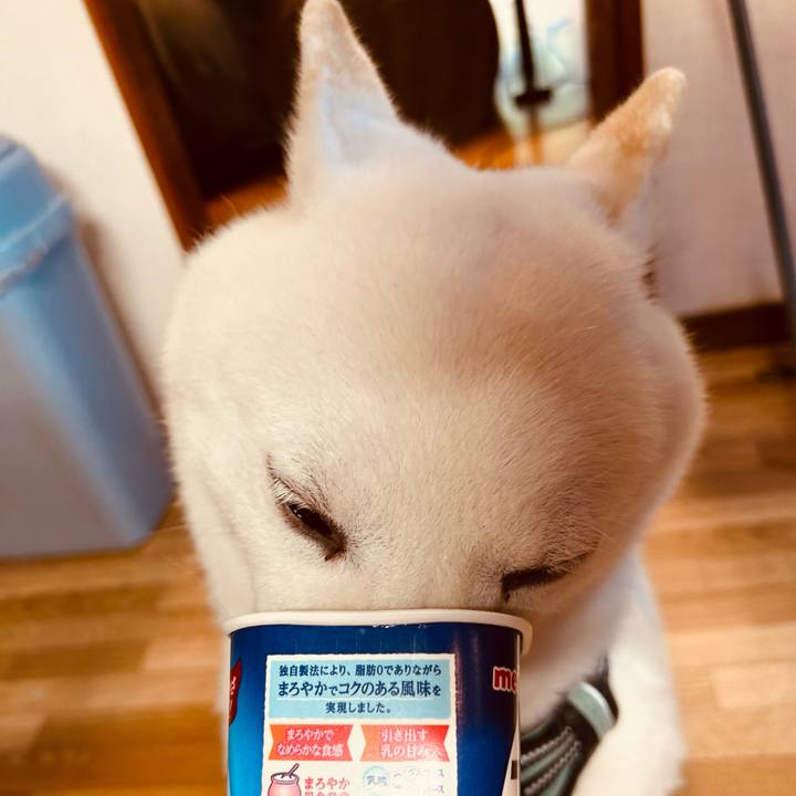 34b36f13 c338 484f be71 873af8b77c73 1698272629731