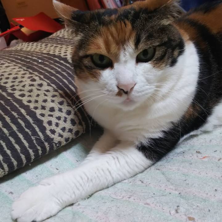 34b40193 8114 4514 8465 664baa277fe7 1560375769089