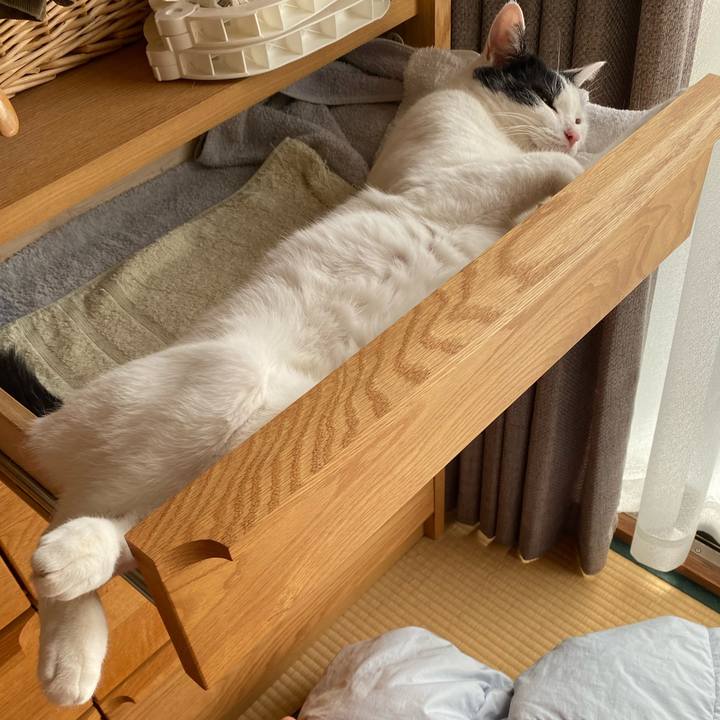 34b4356f ba59 4e47 a545 fba1f5381647 1599368871674