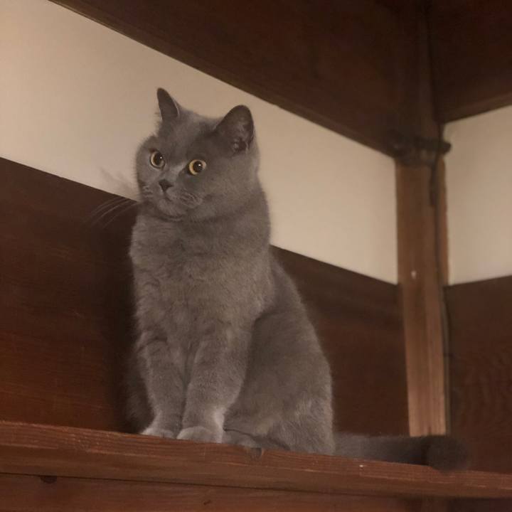 34b4473b 0699 43a0 a3ec 6609b7b48c8d 1616762015124