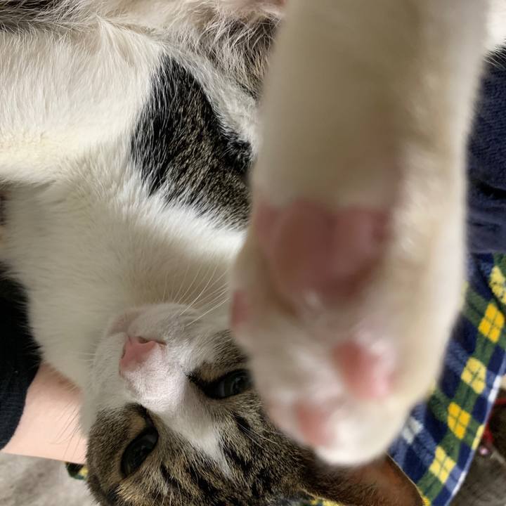 34b44d04 14cf 427e ab33 5bd4f1111e88 1549724348217