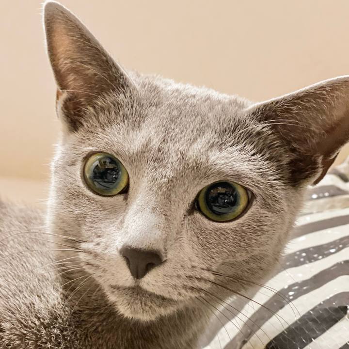 34b461fe 0f0a 44bf bae7 bc27516532bc 1615612226611